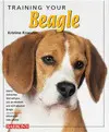 TRAINING YOUR BEAGLE