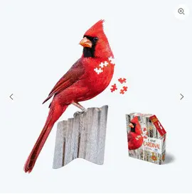 I Am Cardinal 300 Rompecabezas