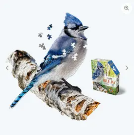 I Am Blue Jay 300 Rompecabezas