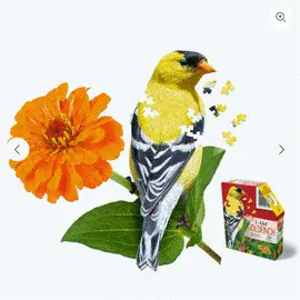 I Am Goldfinch 300 Rompecabezas