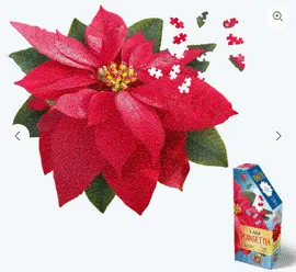 I AM POINSETTIA 350