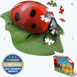 I Am Lil Ladybug 100 Rompecabezas