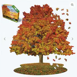 I AM SUGAR MAPLE 1000