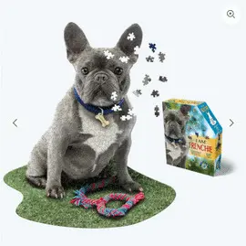 I Am Frenchie 550 Rompecabezas Perro