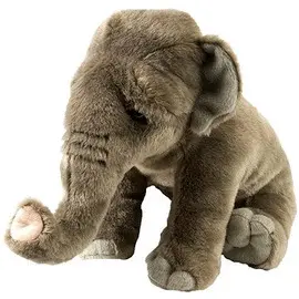 CK ASIAN ELEPHANT