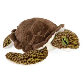 Ck-Eco Green Sea Turtle