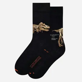 Dinosaurs  Tyrannosaurus Rex Calcetines 36-40