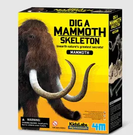 DIG A MAMMOTH SKELETON - 4 MINDS