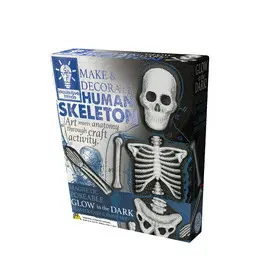 MAKE & DECORATE HUMAN SKELETON