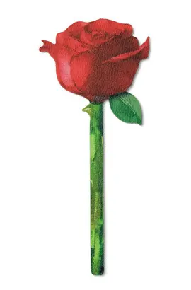 Flower Bookmarks Painted Rose