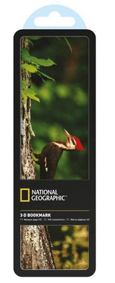 NATIONAL GEOGRAPHIC 3-D BOOKMARK, PILEATED WOODPECKER, GREAT SOKY MOUNTAINS NATIONAL PARK, TENNESSEE, USA