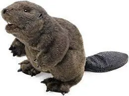 BEAVER