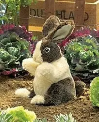 DUTCH BABY RABBIT PUPPET