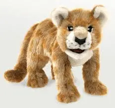 AFRICAN LION CUB