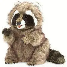 RACOON