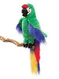 GREEN MACAW PUPPET.
