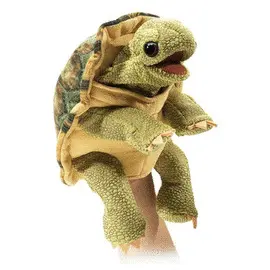 TORTOISE, STANDING