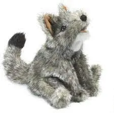 SMALL COYOTE