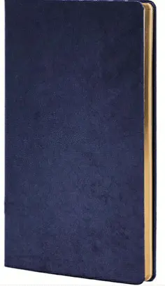 CASTELLI DAILY DIARY 2026 MID TEATRO BLUE 13X21 CM AGENDA