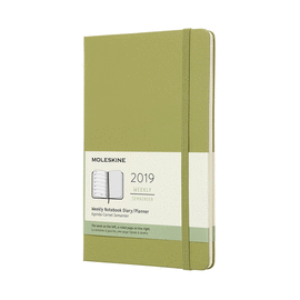 12M WEEKLY NOTEBOOK LARGE LICHEN GREEN HARD COVER 2019 (DHK2512WN