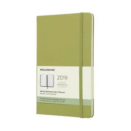 12M WEEKLY NOTEBOOK LARGE LICHEN GREEN HARD COVER 2019 (DHK2512WN
