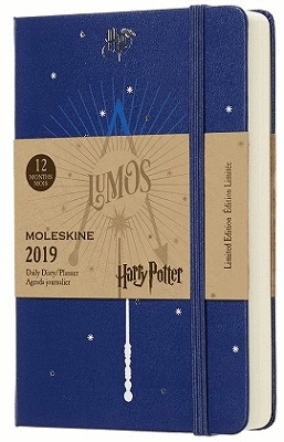 12M LIMITED EDITION HARRY POTTER DAILY POCKET BLUE 2019 (DHP12DC2Y19)