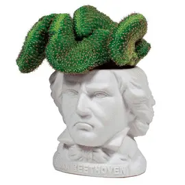 LUDWIG VAN BEETHOVEN PLANTER