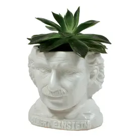 ALBERT EINSTEIN PLANTER - PLANTER