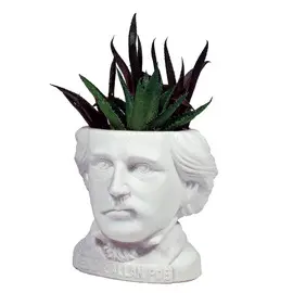 EDGAR ALLAN POE PLANTER - MACETA