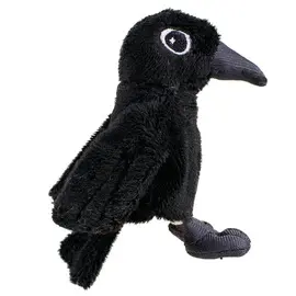 POE'S RAVEN MAGNETIC PERSONALITY