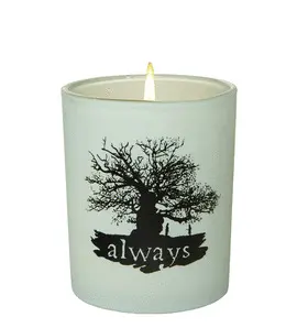 HARRY POTTER: ALWAYS GLASS VOTIVE CANDLE