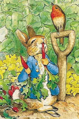 PETER RABBIT MINI