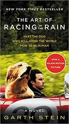 THE ART OF RACING IN THE RAIN