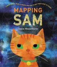 MAPPING SAM