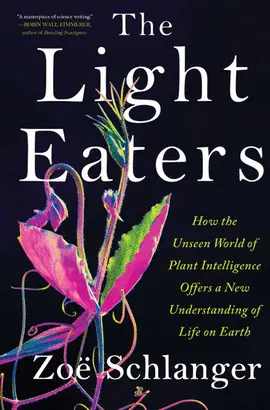 THE LIGHT EATERS