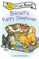 BISCUIT'S PUPPY SLEEPOVER