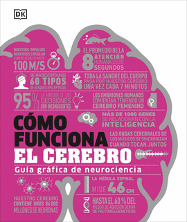 CMO FUNCIONA EL CEREBRO