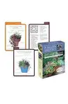 P. ALLEN SMITH'S CONTAINER GARDENS DECK: 50 RECIPES FOR YEAR-ROUND GARDENING