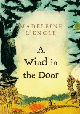 WIND IN THE DOOR, A