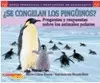 ¿SE CONGELAN LOS PINGÜINOS?