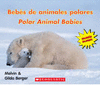 BEBES DE ANIMALES POLARES - POLAR ANIMAL BABIES