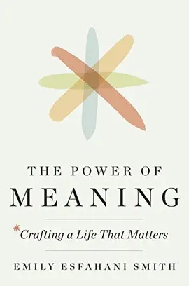 THE POWER OF MEANING