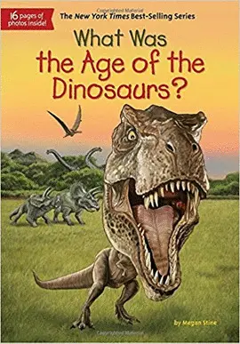 WHAT WAS THE AGE OF THE DINOSAURS?