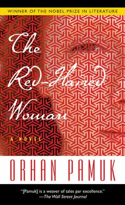 THE RED-HAIRED WOMAN