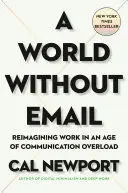 A WORLD WITHOUT EMAIL