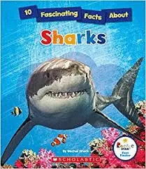 10 FASCINATING FACTS ABOUT SHARKS