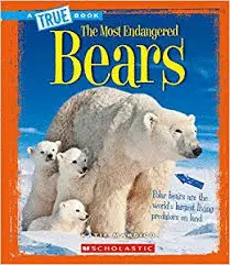 BEARS