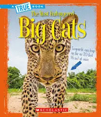 BIG CATS