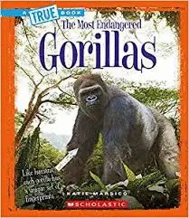 GORILLAS