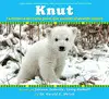 KNUT, LA HISTORIA DEL OSITO POLAR QUE CAUTIVO AL MUNDO ENTERO